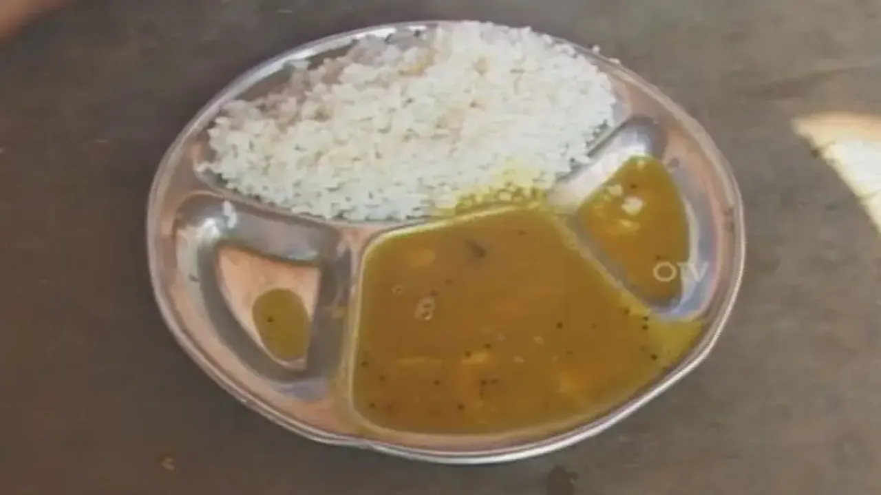 Egg missing from MDM menu in Odisha schools raises concerns