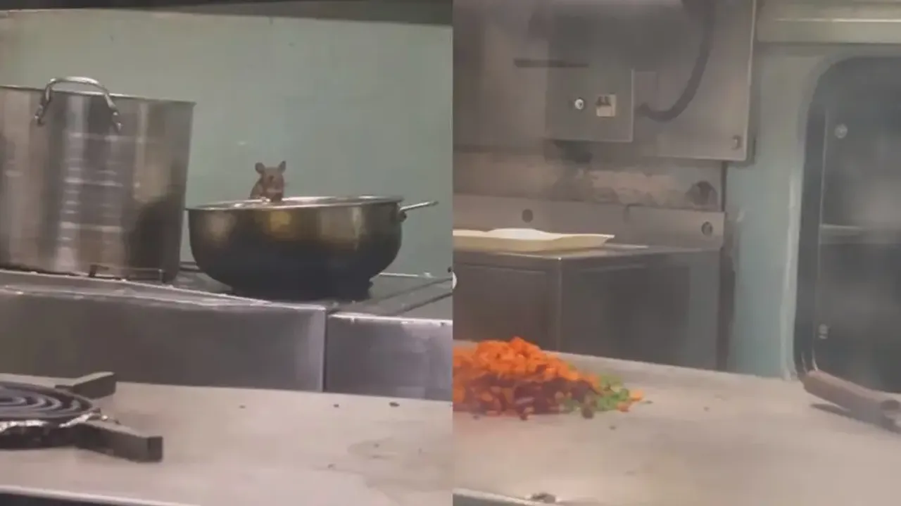 Obnoxious: Rats ‘feast’ on passenger food in Mumbai-Madgaon Express pantry car
