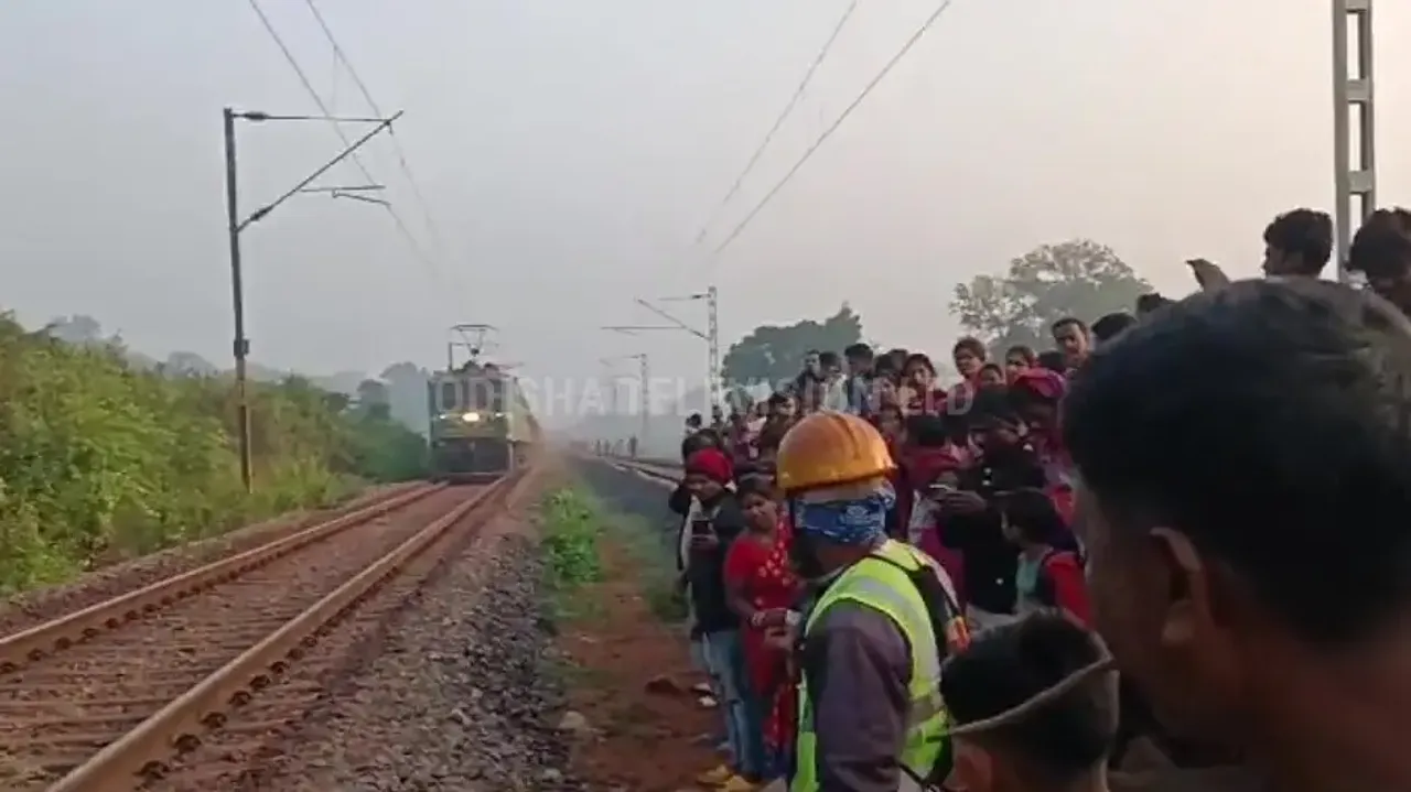 Elephant dies after being hit by goods train in Odisha