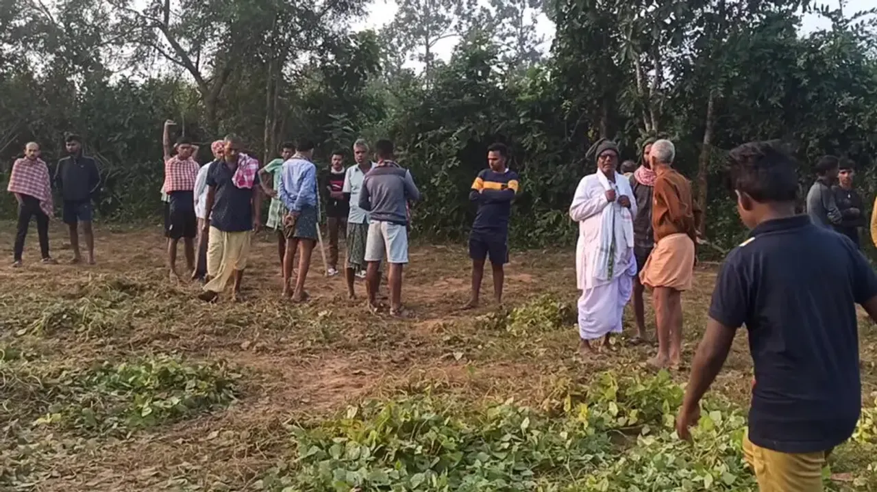 Farmer dies in elephant attack