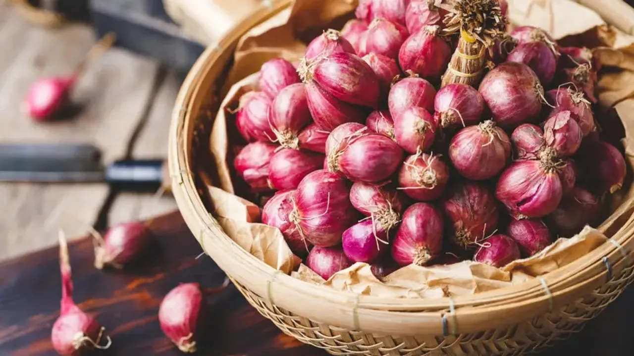 Govt imposes minimum export price of USD 800 per tonne on onion till Dec 31