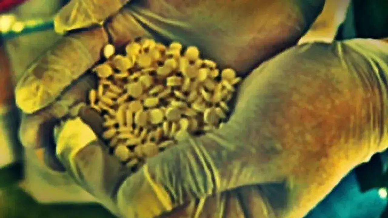 'Some of Hamas attackers of Oct 7 carnage were high on Captagon drug'