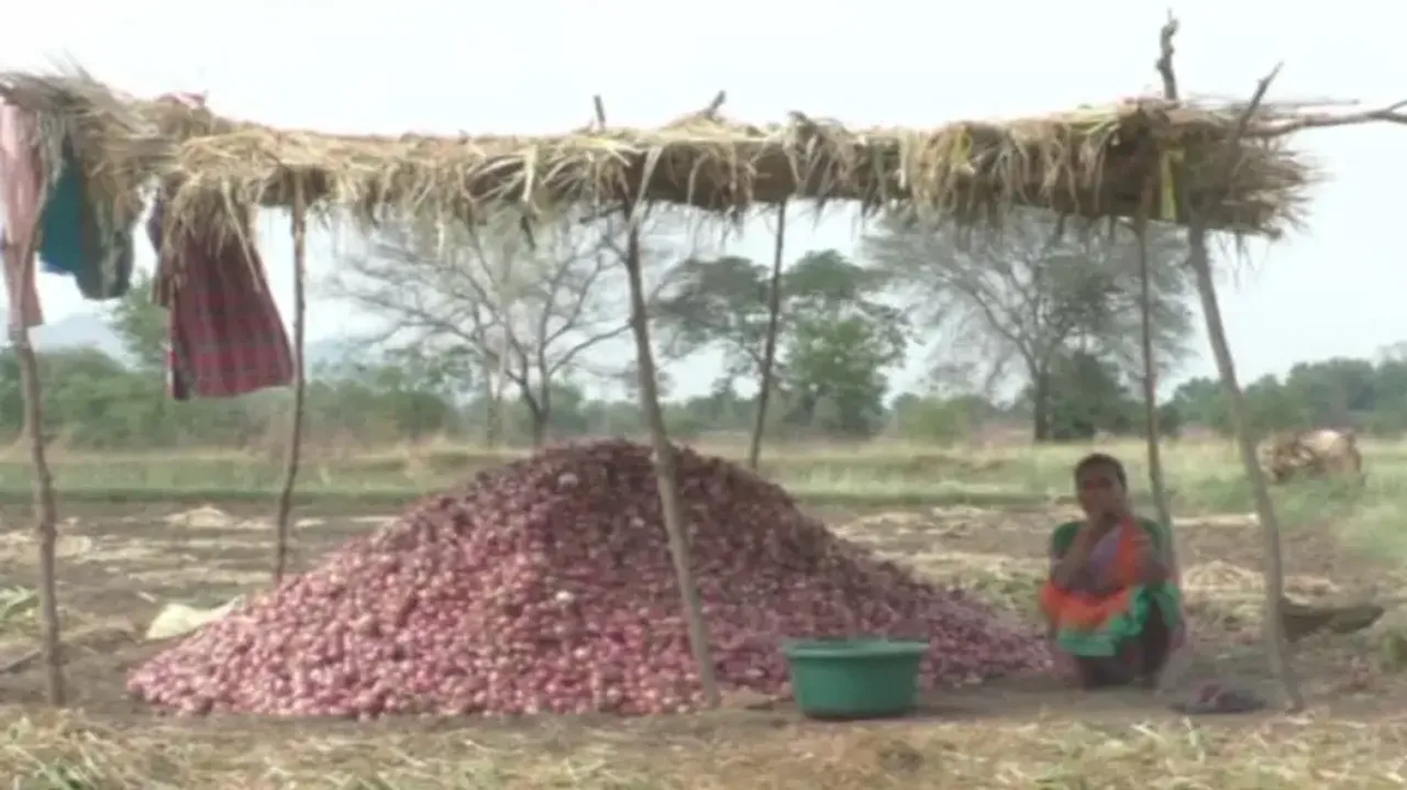 Despite bumper production, onion has brought tears in the eyes of farmers