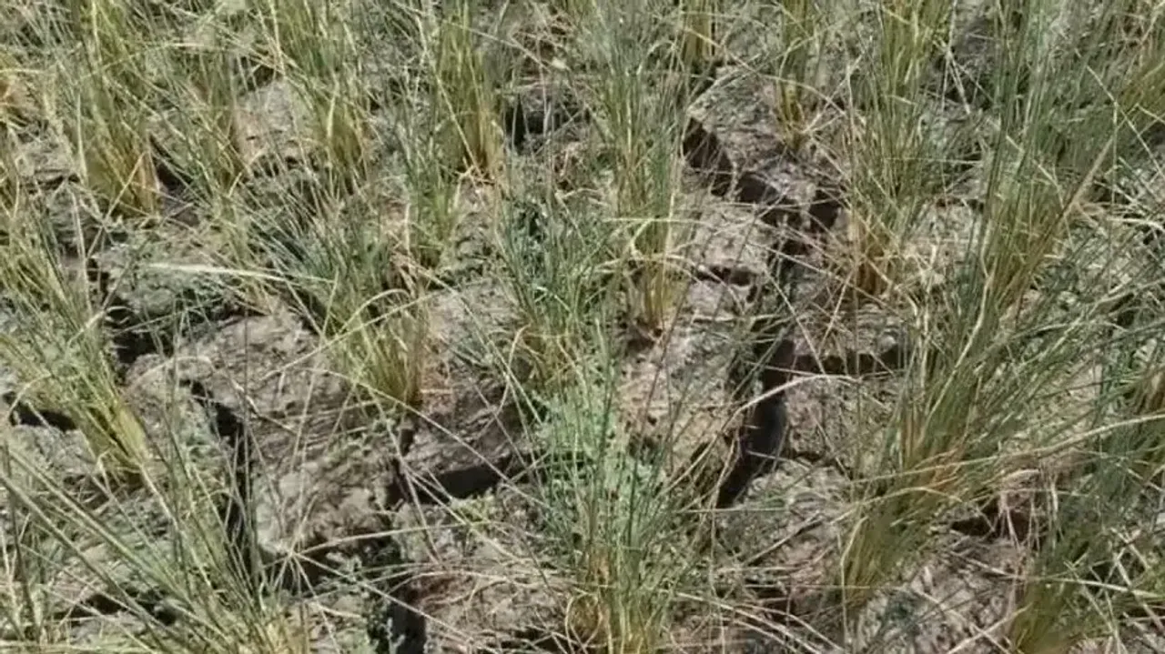 Irrigation facility claims by Odisha govt fall flat after Nayagarh farmer ends life 