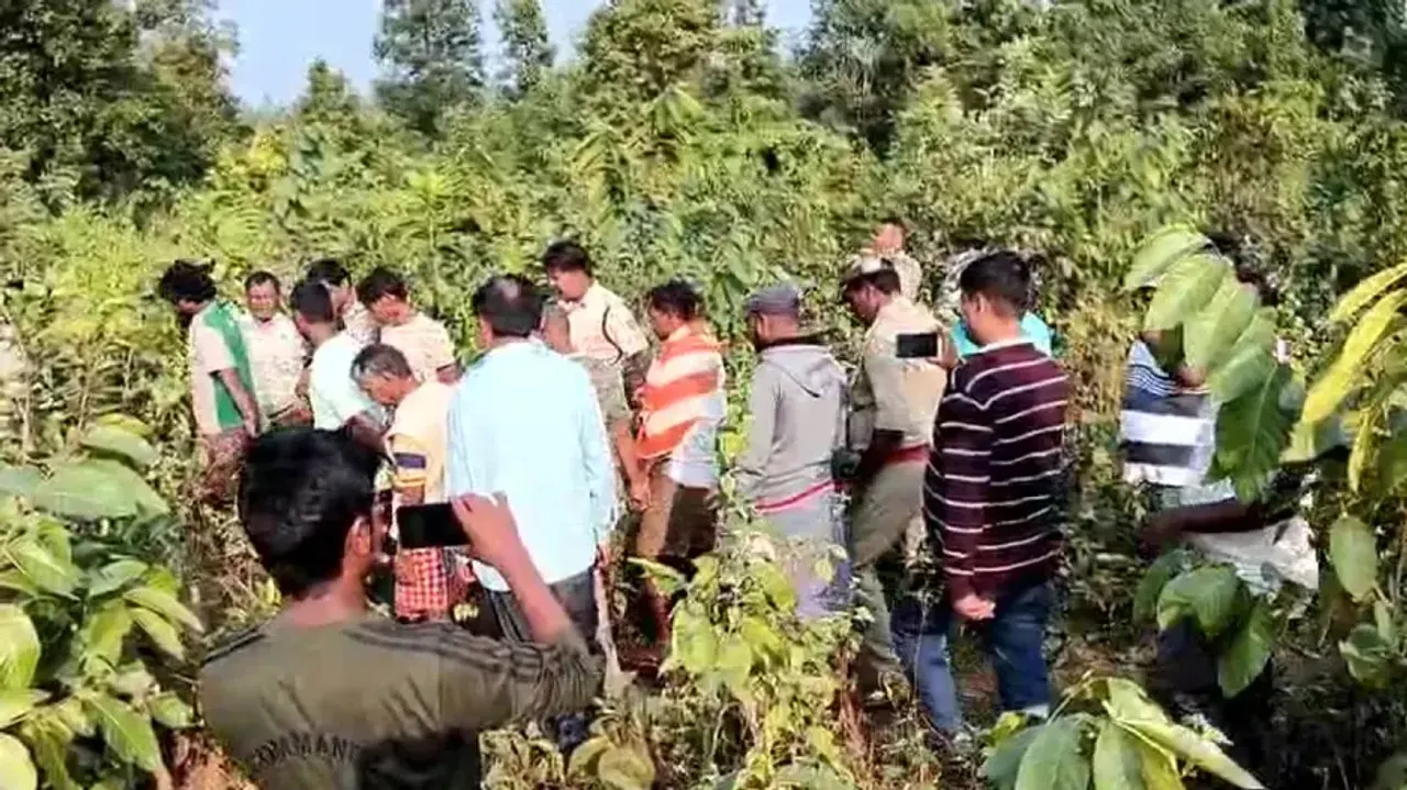 Elephant death in Odisha: Five poachers arrested in Keonjhar