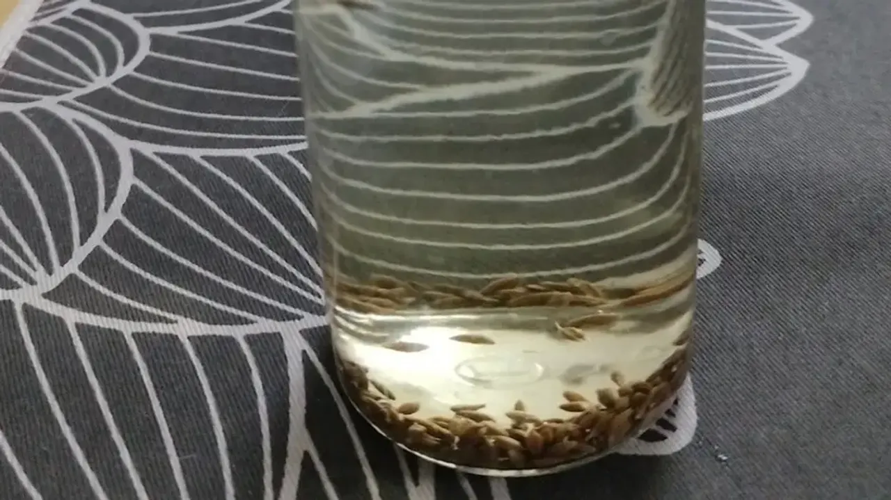 therapeutic types of water