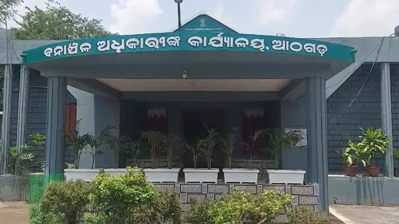 Wild bear captured in Odisha’s Athagarh