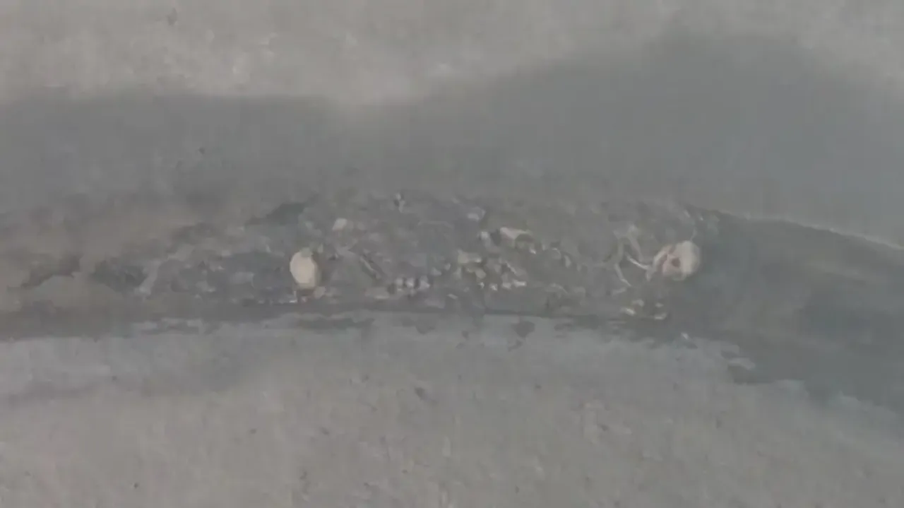 Two suspected human skeletons found in newly-built overhead water tank in Odisha’s Jajpur