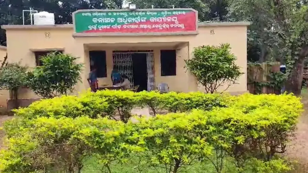 Odisha man, minor daughter injured in elephant attack in Keonjhar, hospitalised 