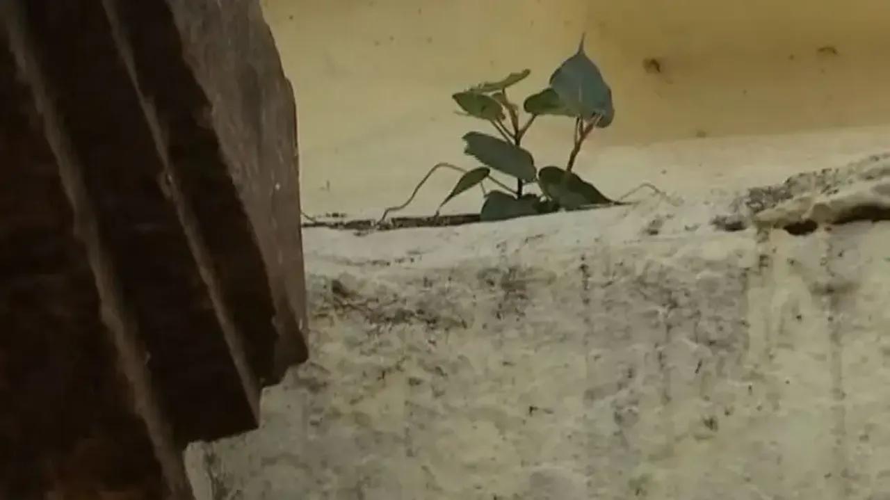 Puri Srimandir Ratna Bhandar laser scan detects cracks 