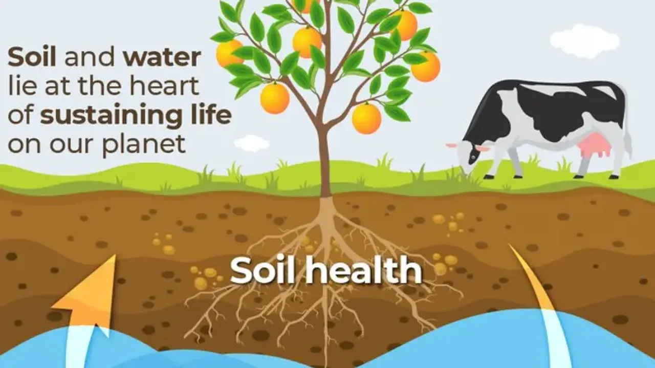 World Soil Day