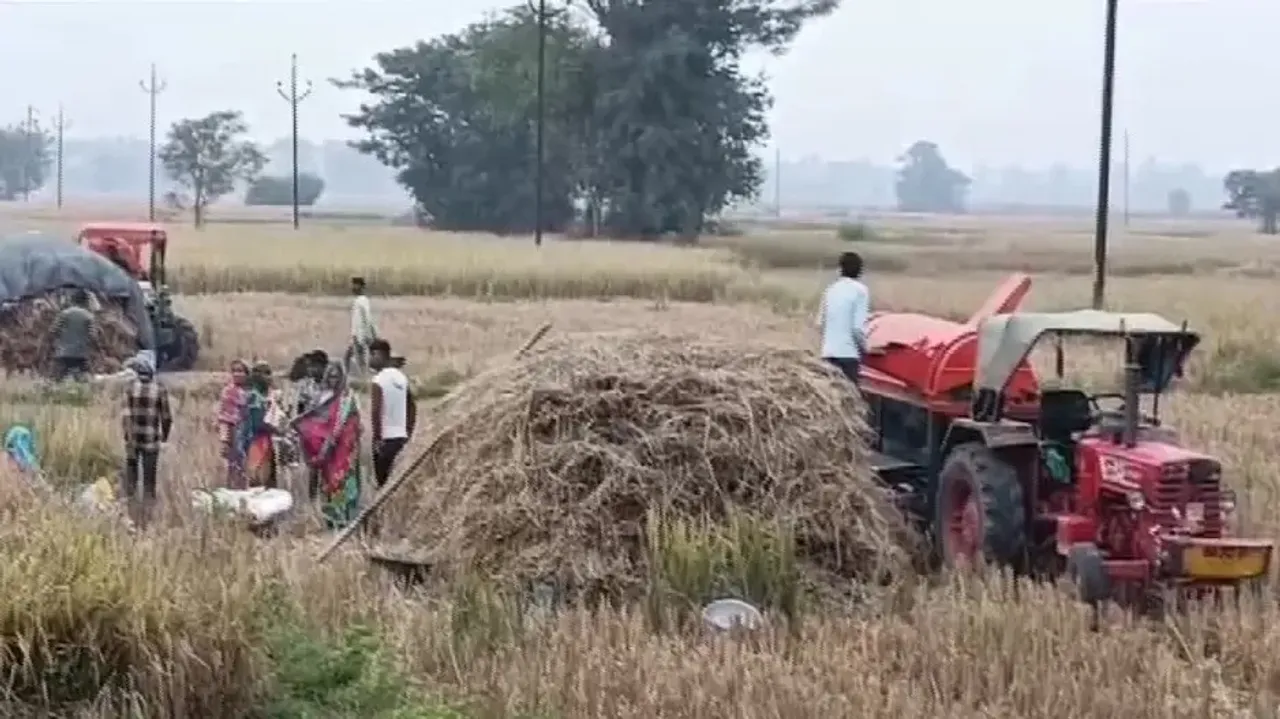 Cyclone ‘Michaung:' Odisha farmers working against time to save crops 