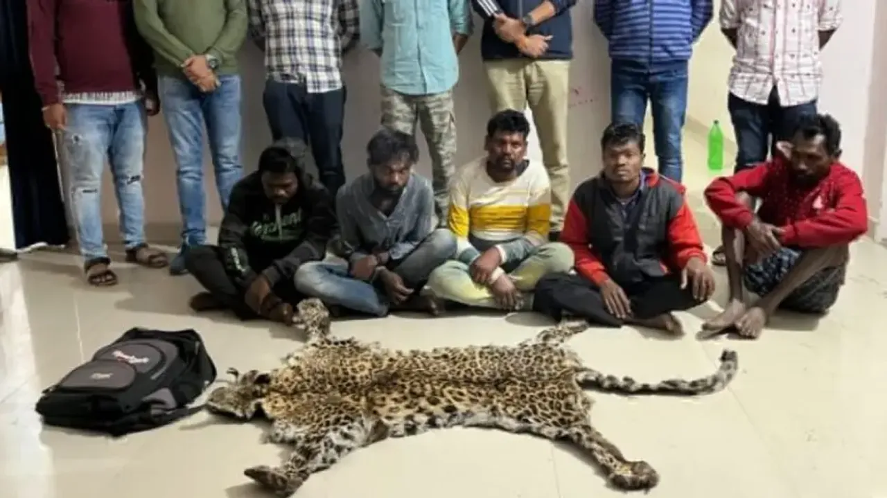 Leopard skin seized in Odisha’s Kalahandi; six arrested