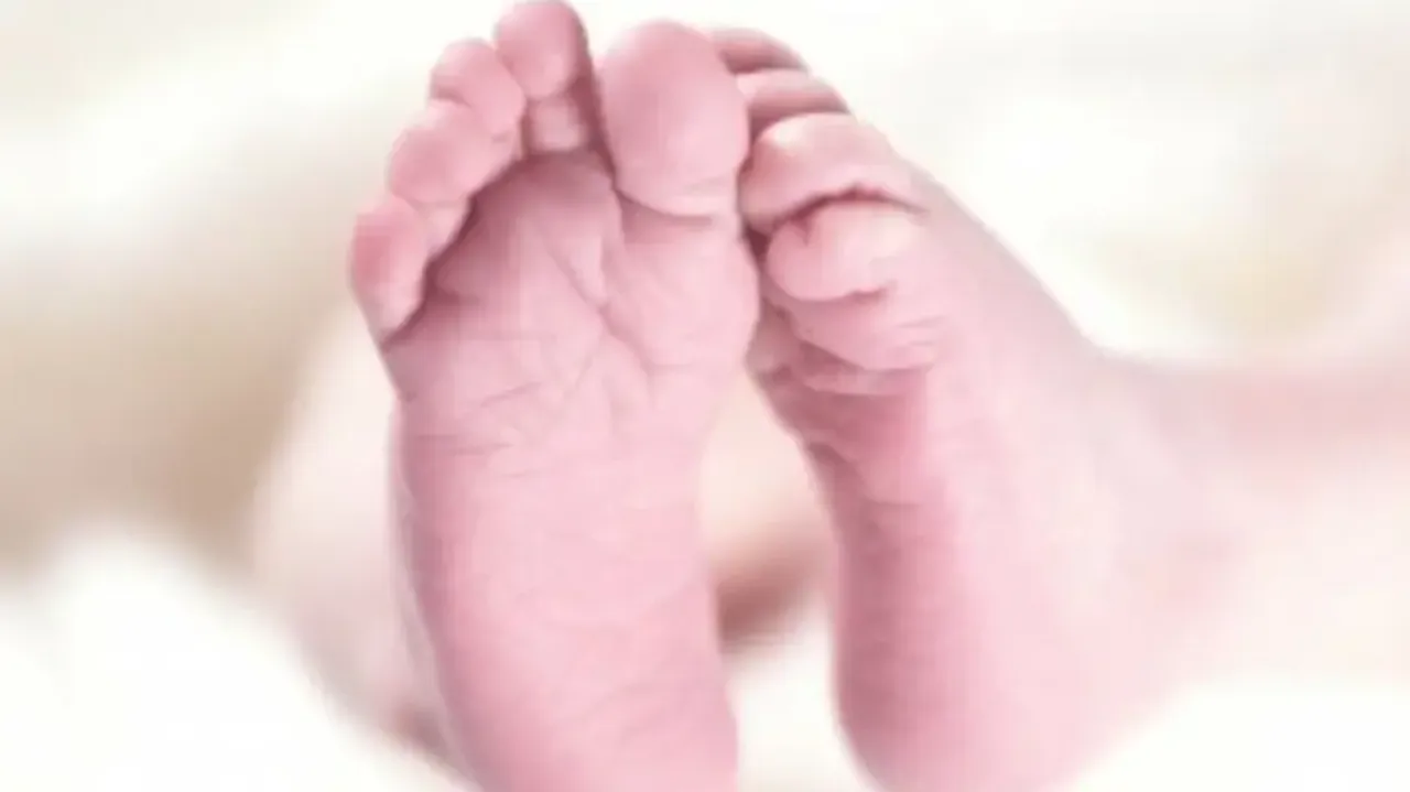 Six-month-old boy suffocates to death as buffalo drops dung on face in UP