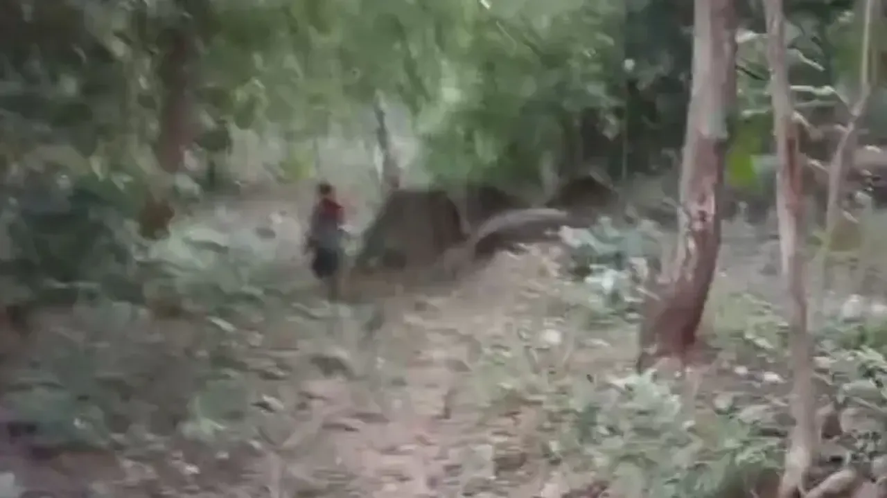 Encounter breaks out between Maoists, security forces in Odisha’s Boudh