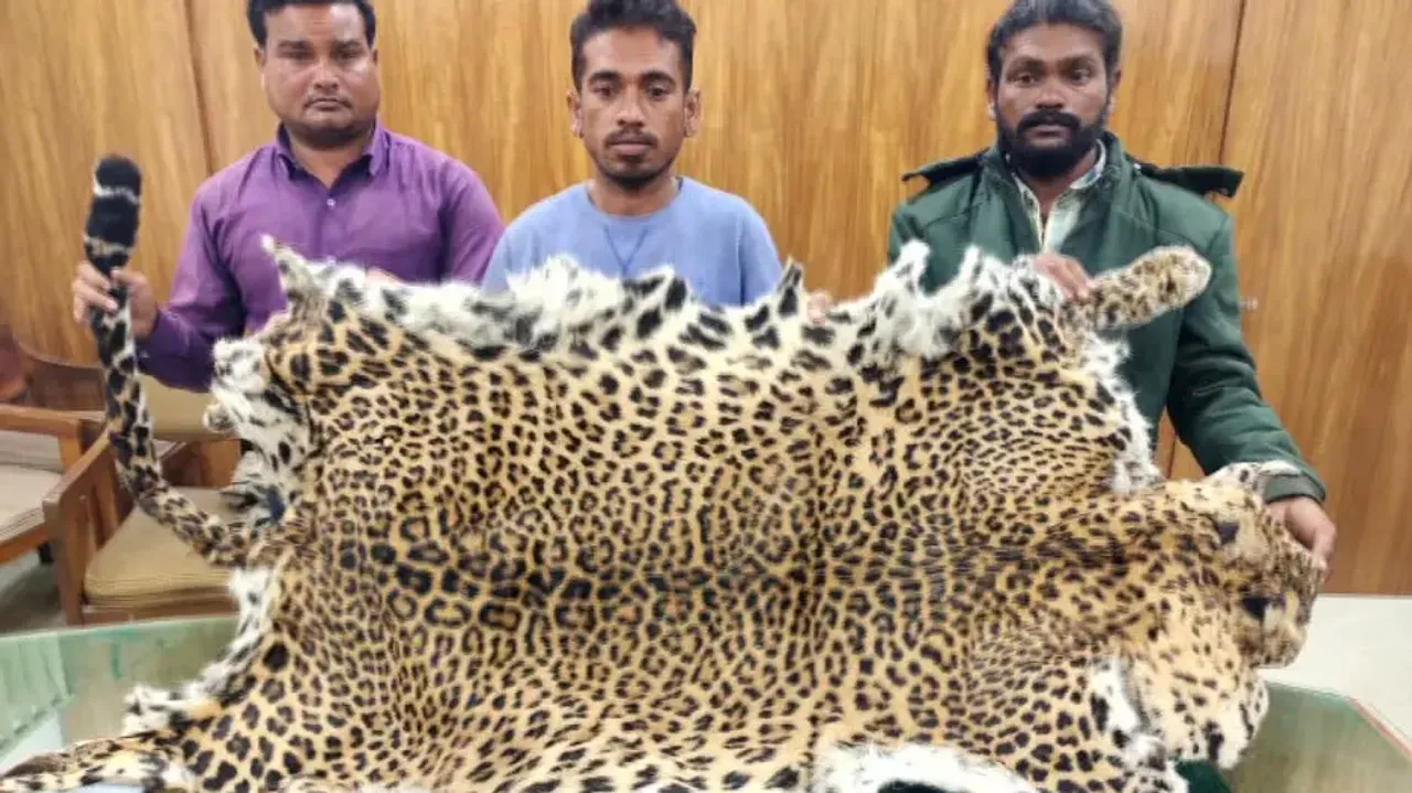 Smugglers With Leopard Skin