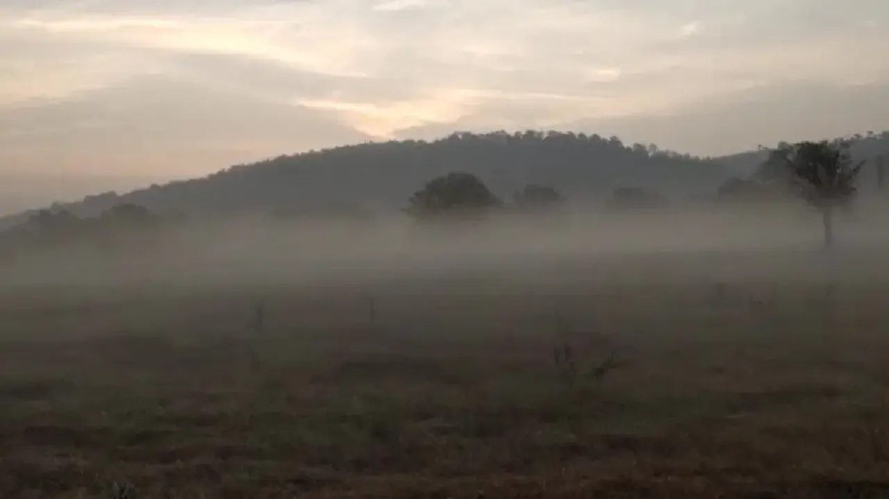 Cold Wave Conditions In Odisha