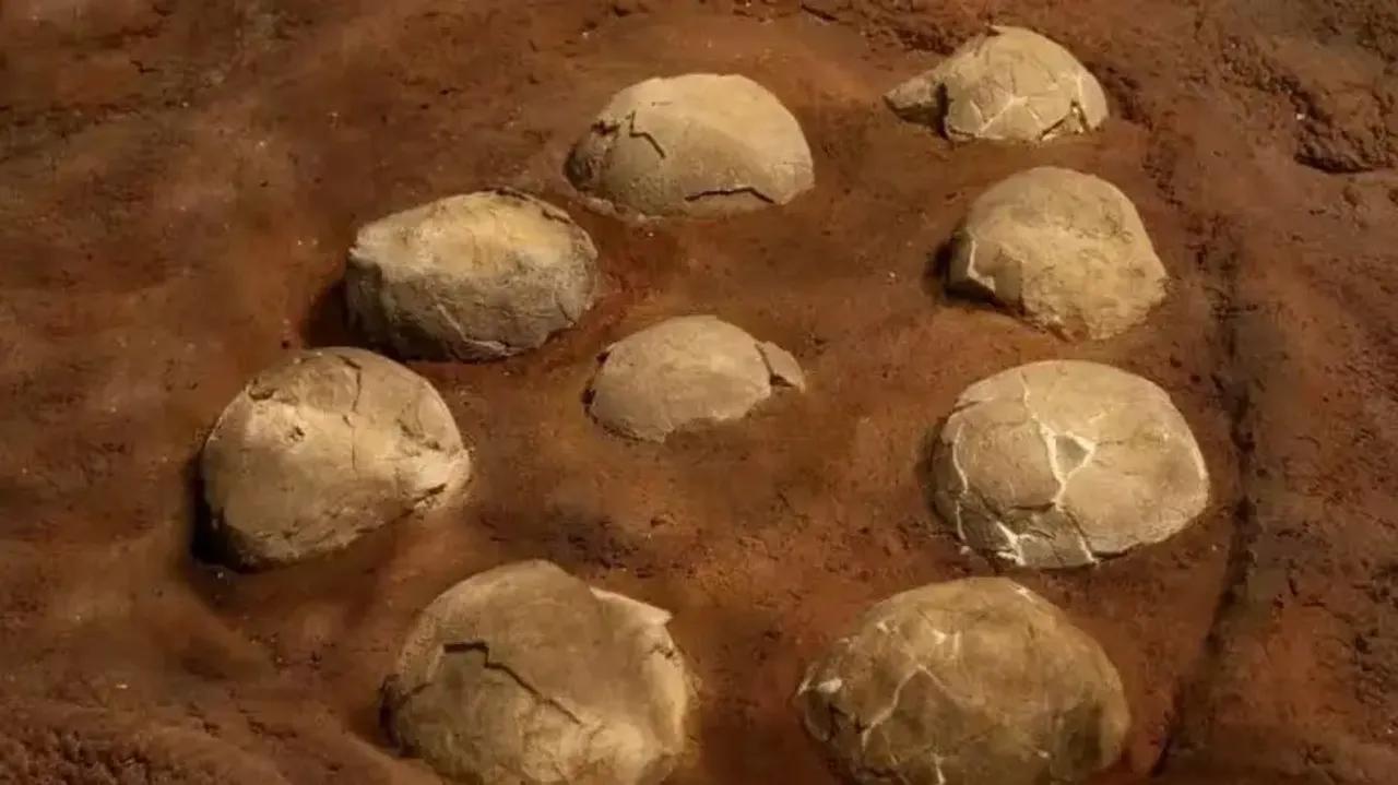 Family in Madhya Pradesh village worshipping dinosaur eggs 