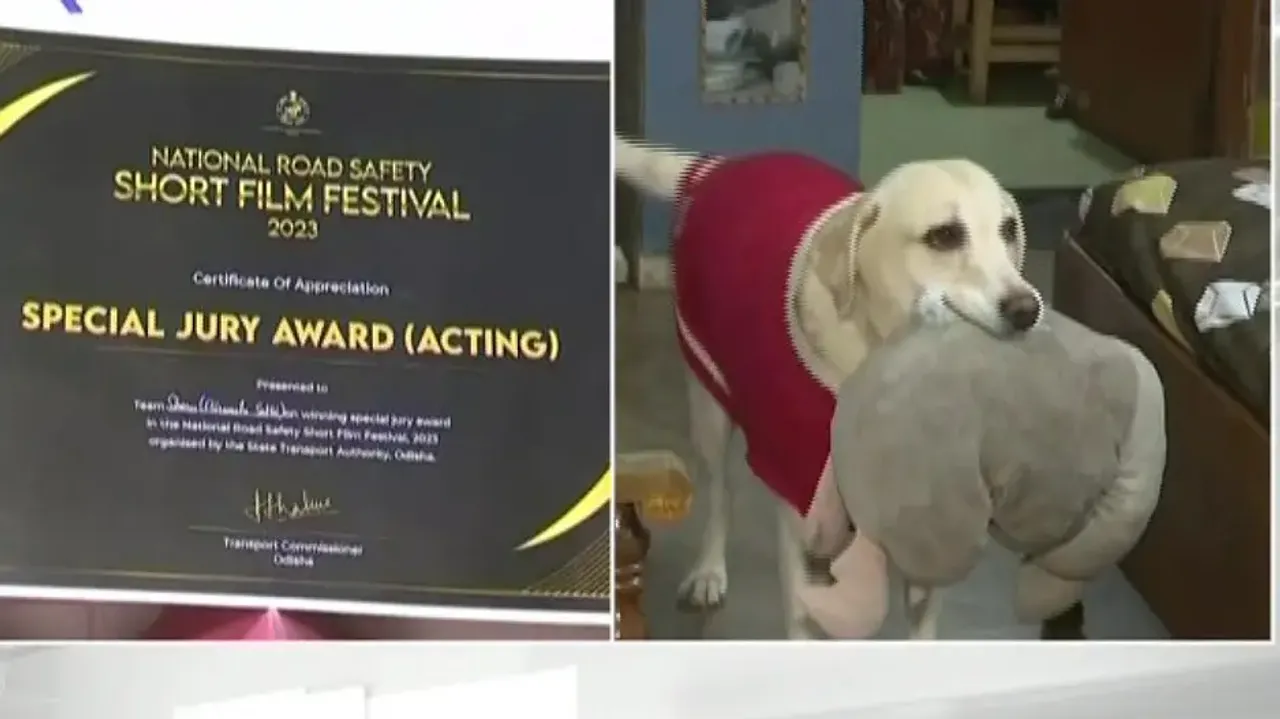 Sheru Wins Jury Award For Acting