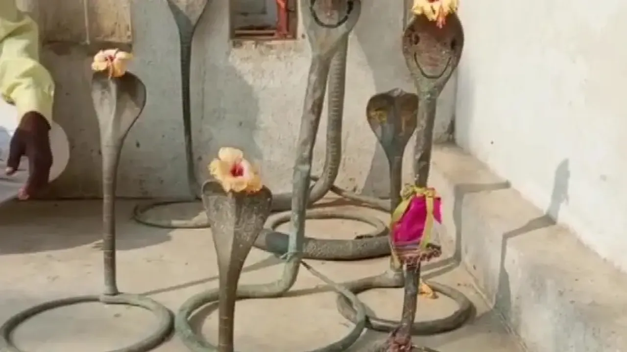 Nag Idols Recovered From River