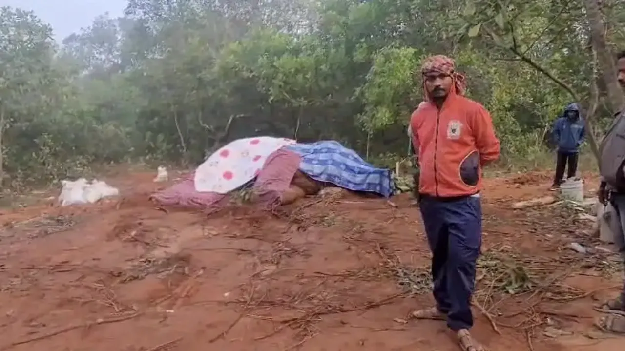 Elephant Carcass In Nayagarh