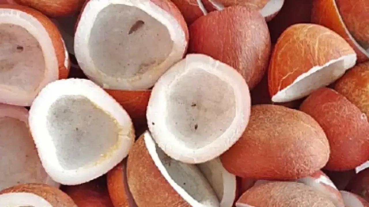 Cabinet approves Minimum Support Price for Copra for 2024 season