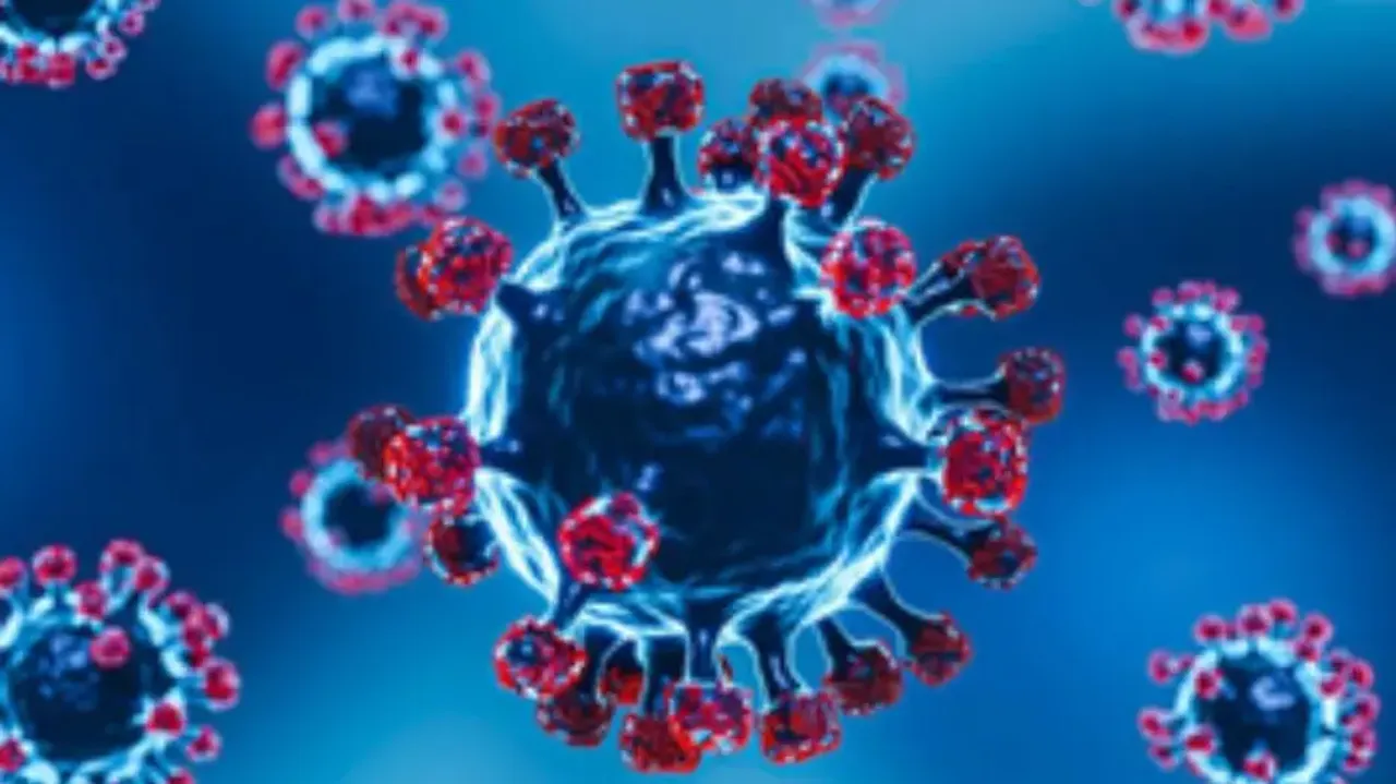 Covid-19 JN 1 variant 