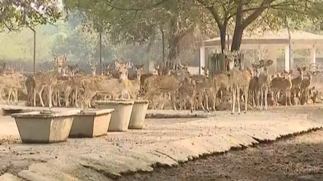 Cuttack Deer Park