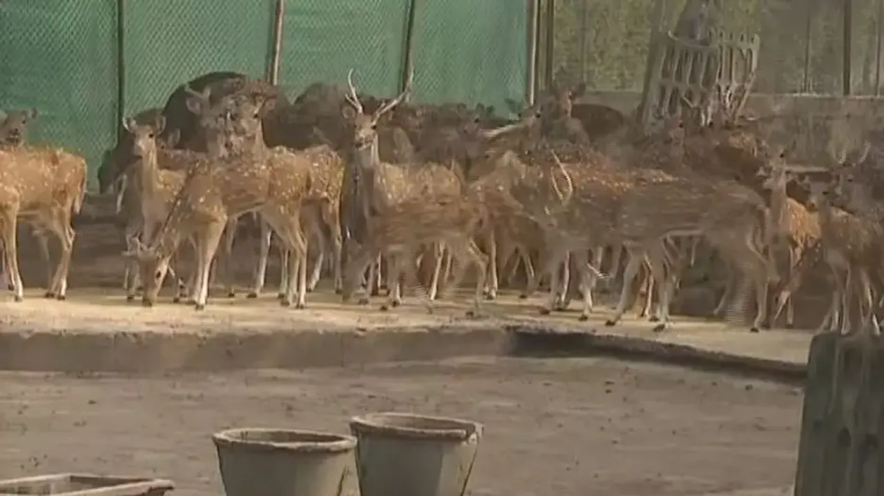 All deer will not be shifted from Cuttack Deer Park, says Mayor  