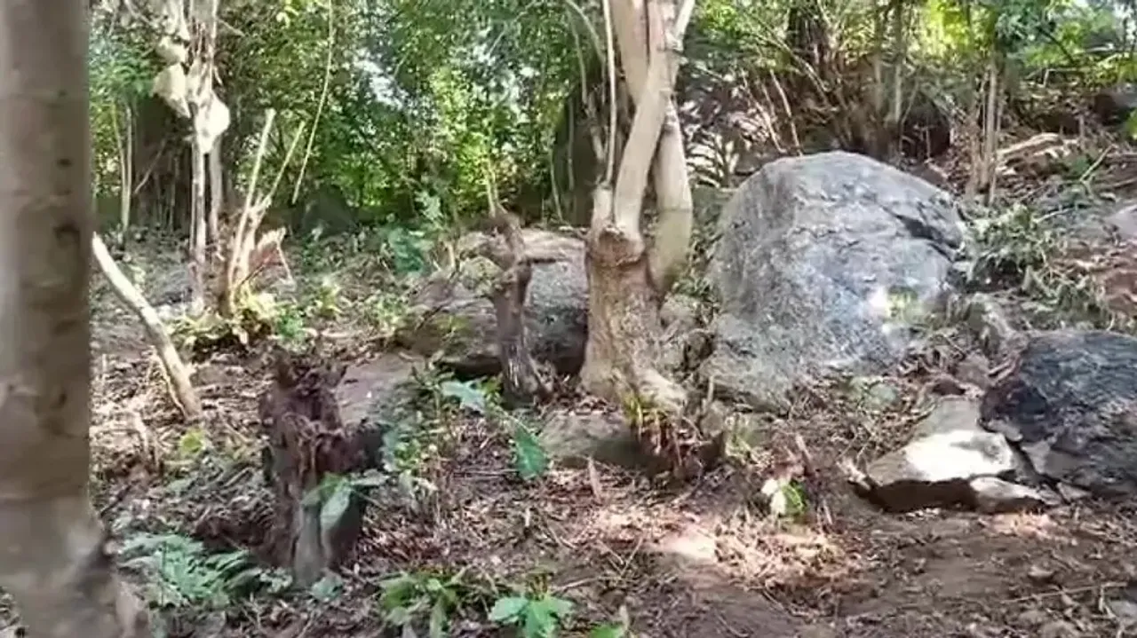 Jawans Injured In IED Blast In Boudh