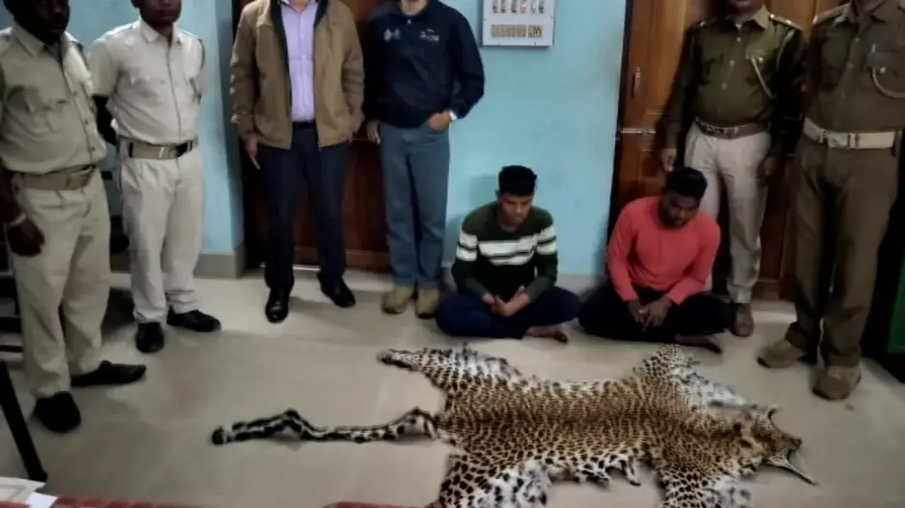 Leopard Skin Seized In Boudh