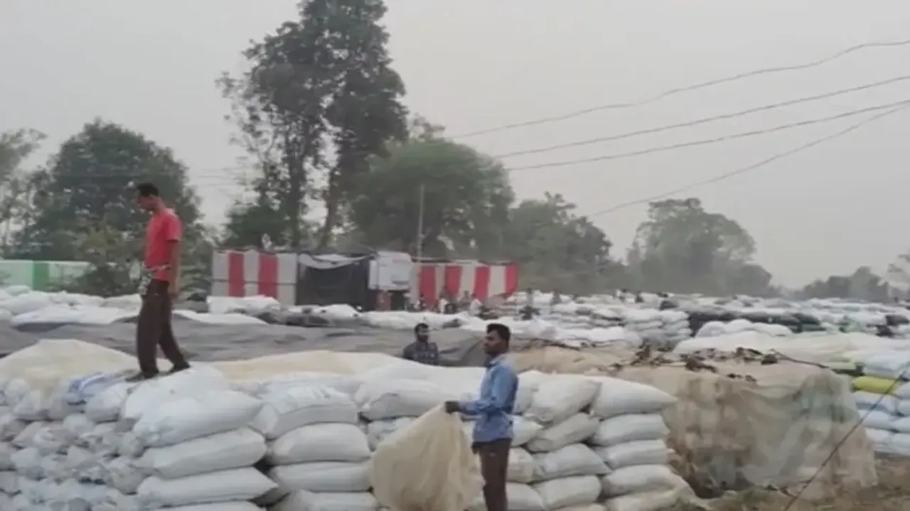 Rain-Soaked Paddy In Bargarh Mandi
