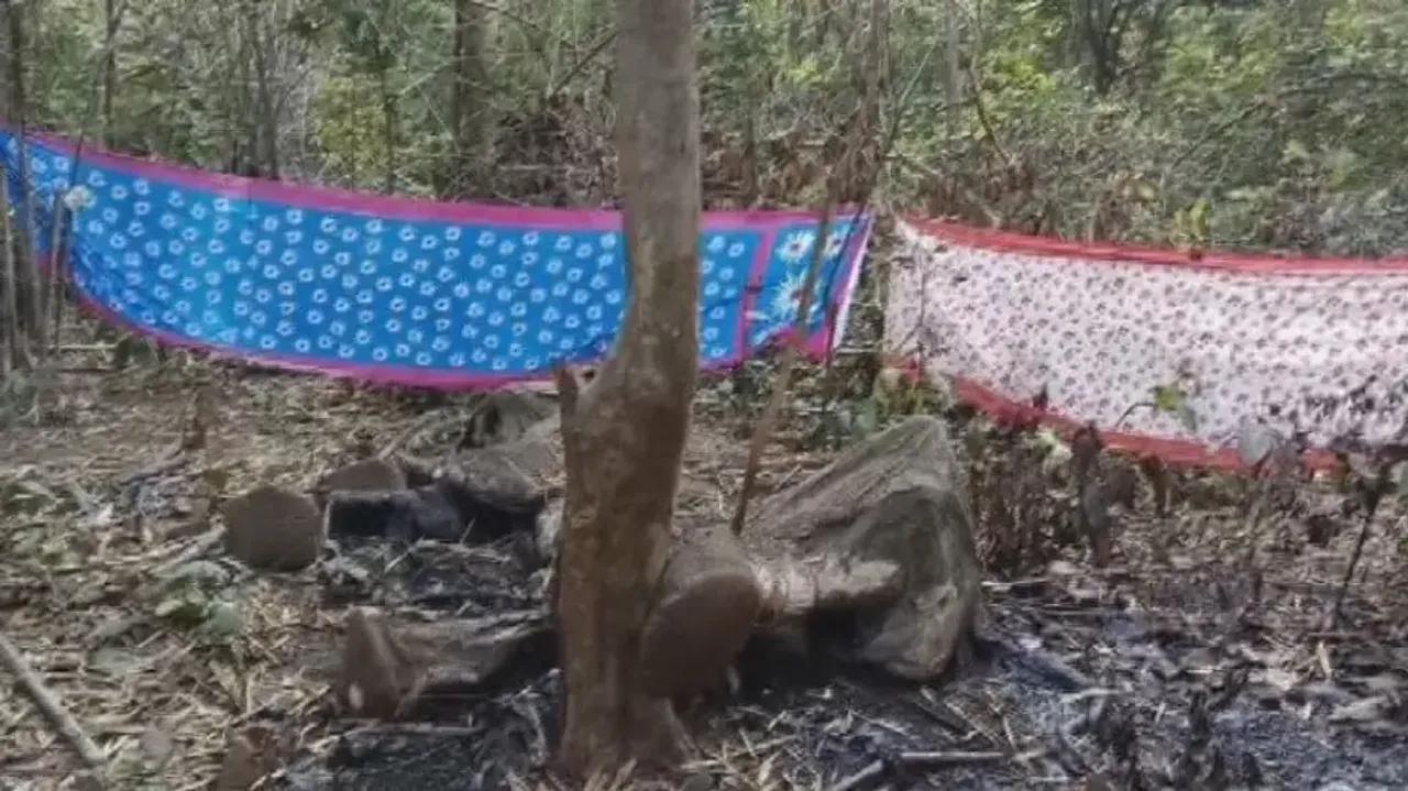 Poachers ‘electrocute’ elephant for tusks in Odisha 