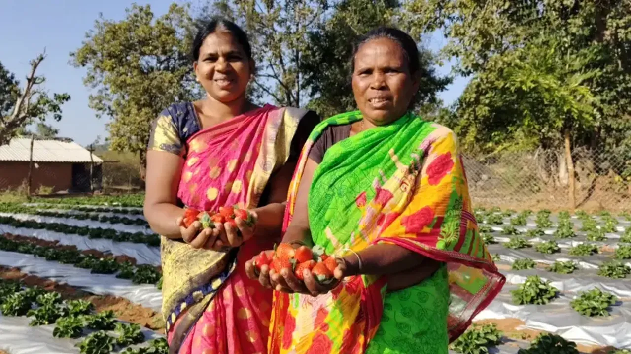 Odisha farmers achieve the unthinkable!