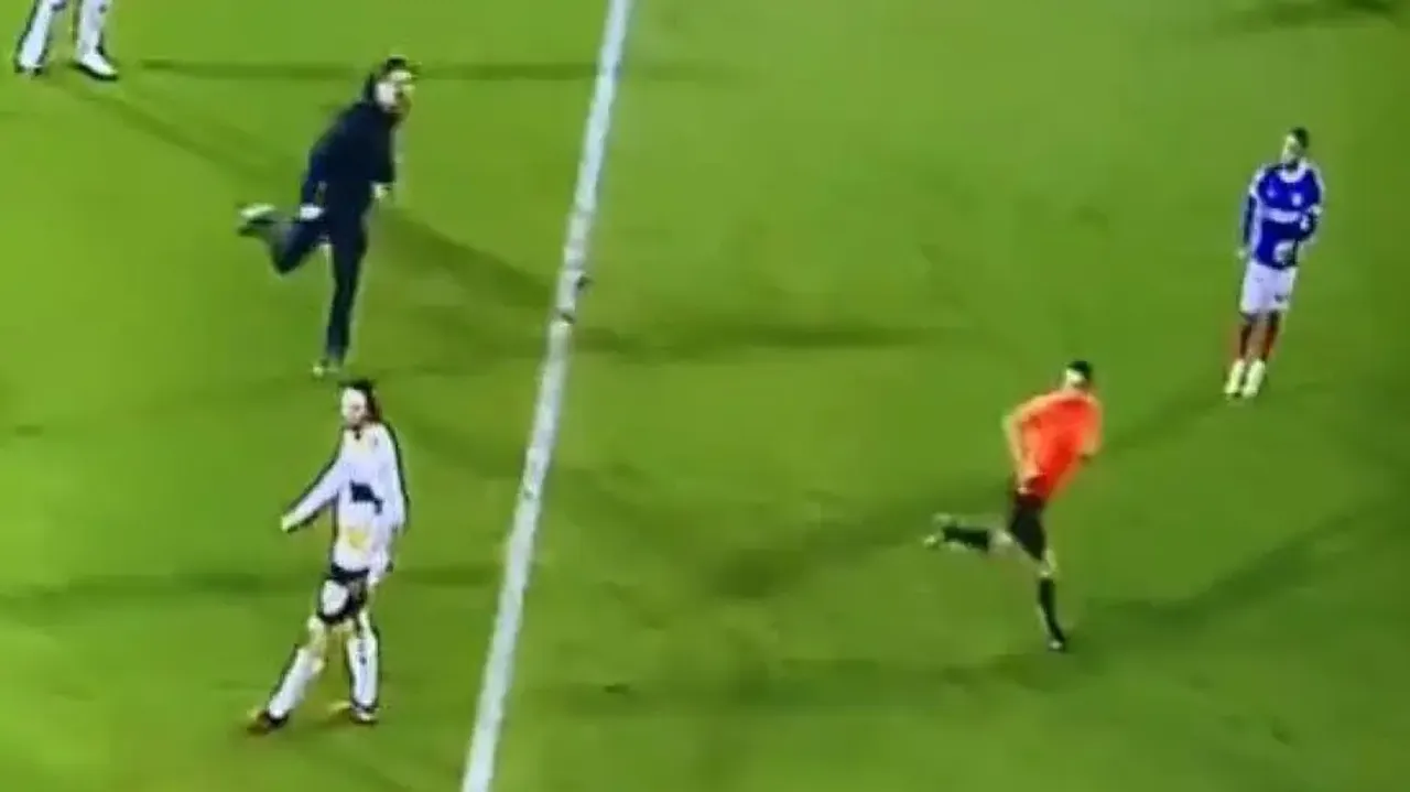 Fan chases referee