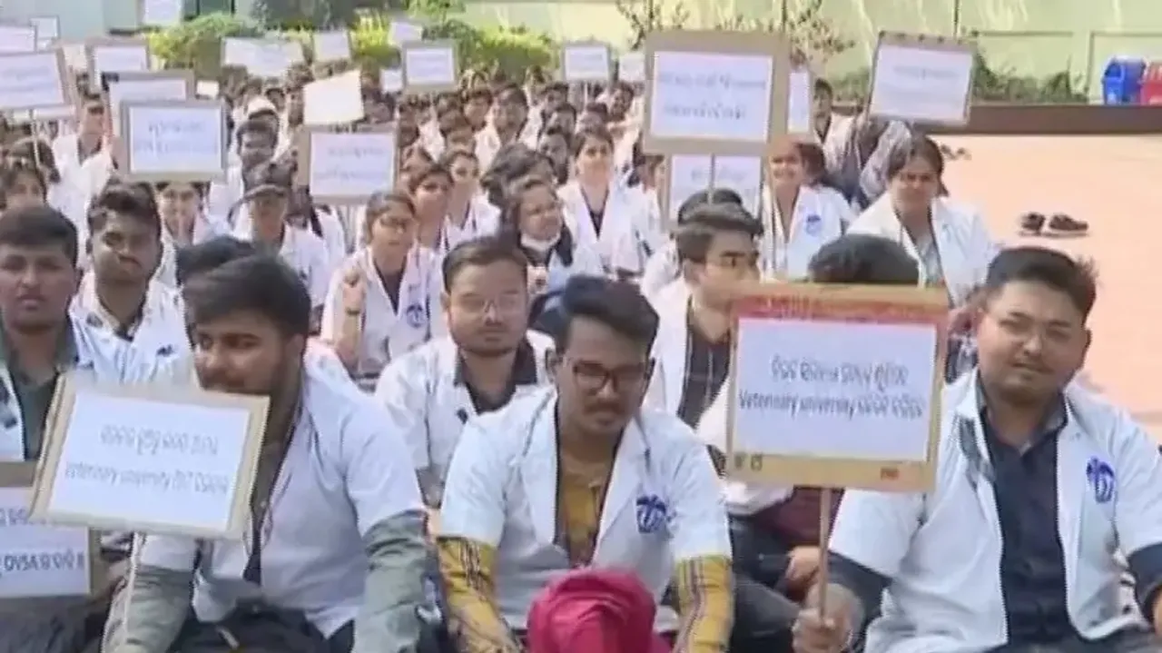 Livestock service hit in Odisha as veterinary docs carry on mass leave 