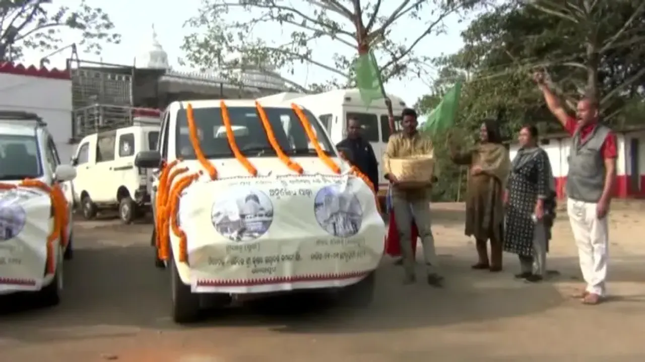 Kalajeera Rice Leaves From Koraput