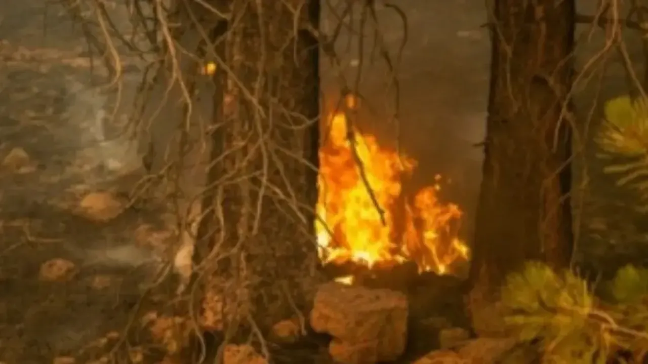 Wildfire in Chile