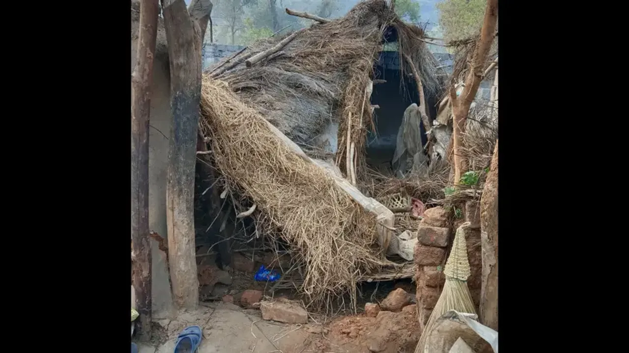 Elephant Damages House In Sambalpur