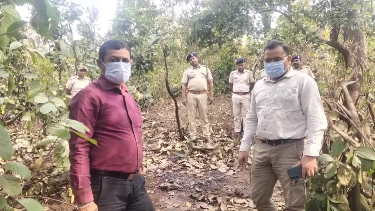 Carcass of elephant calf found in Odisha’s Sundargarh  