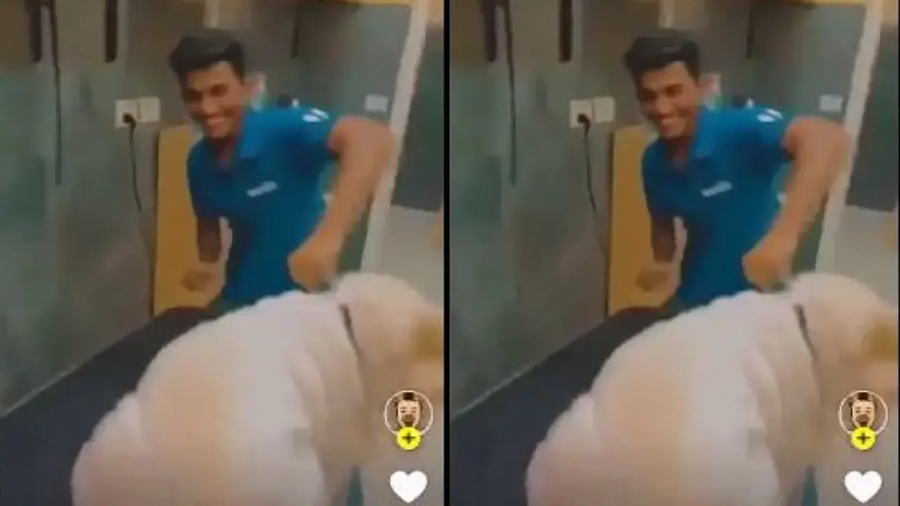 Mumbai man caught punching, thrashing pet dog at Vet clinic,