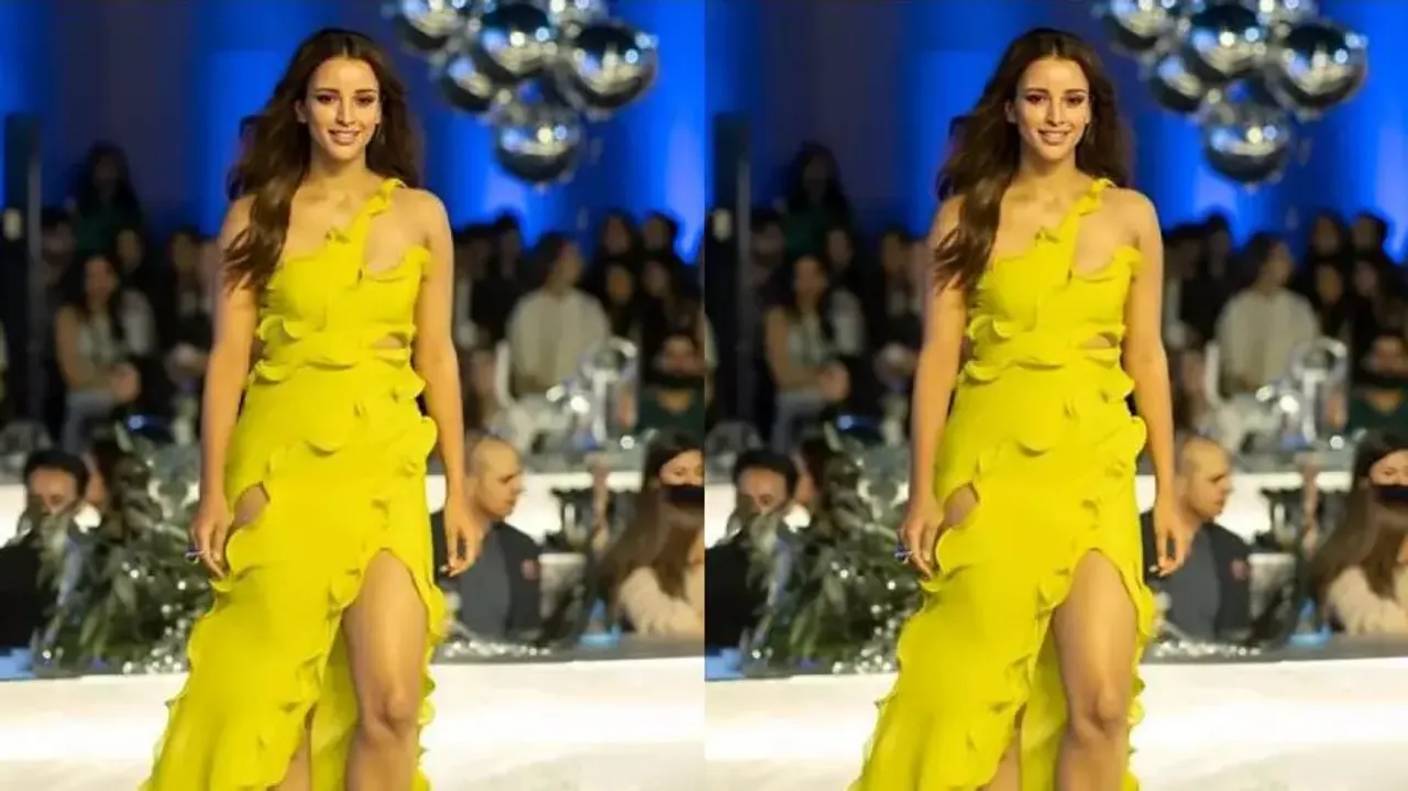 Triptii Dimri winning hearts all over again in new photoshoot