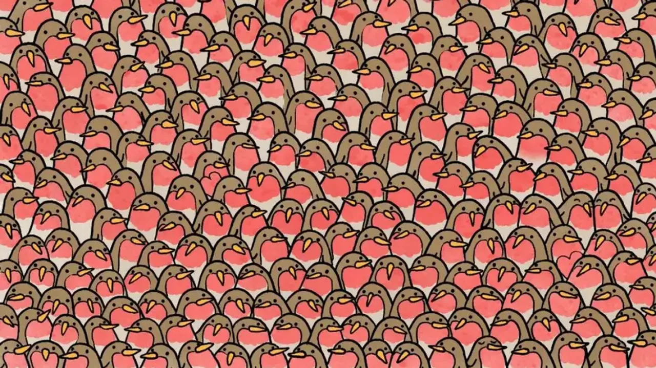 Optical Illusion 