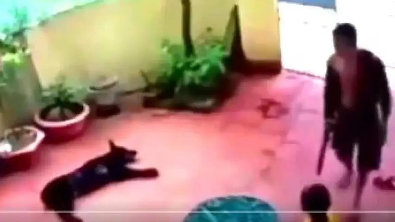 Dog plays dead to save girl