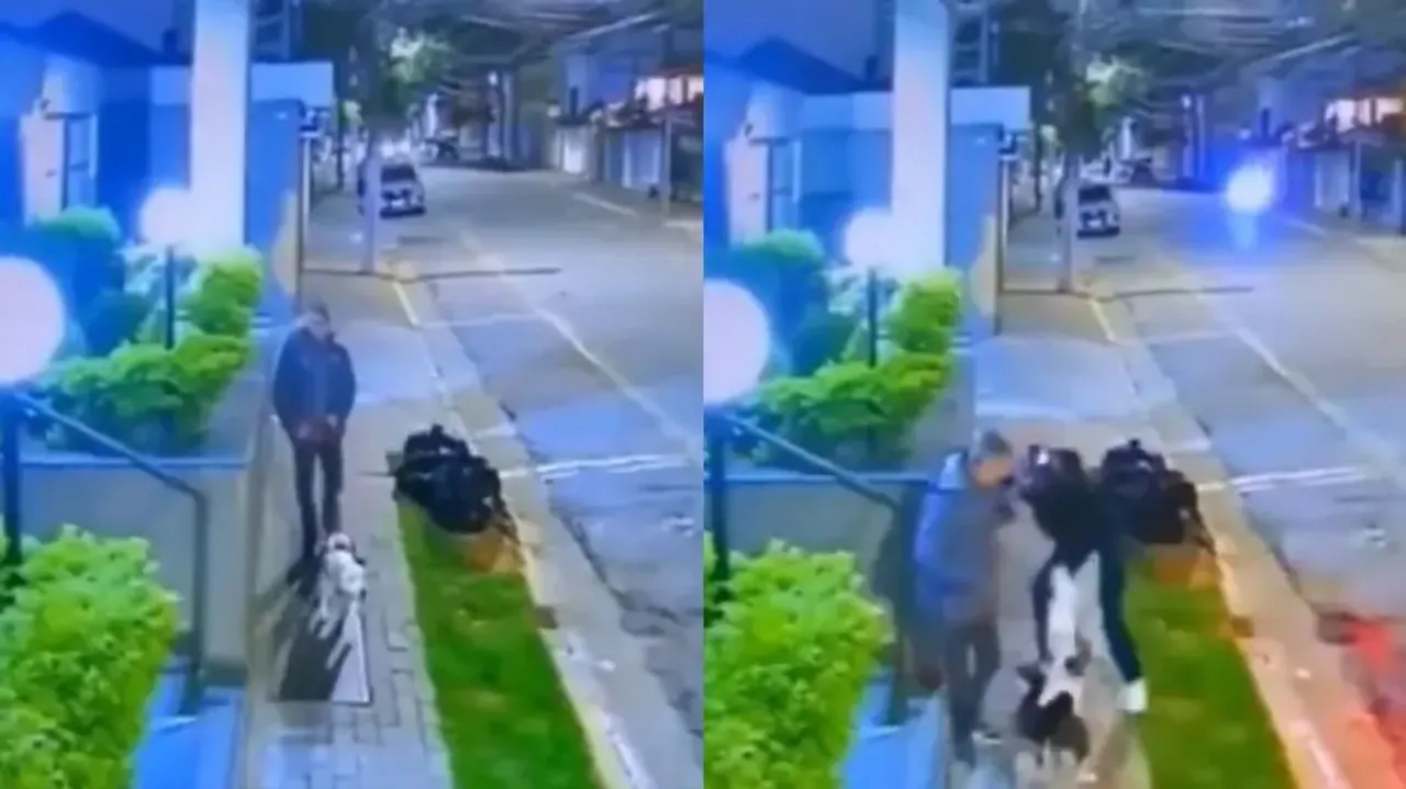 Dog saves owner from gang of robbers, watch