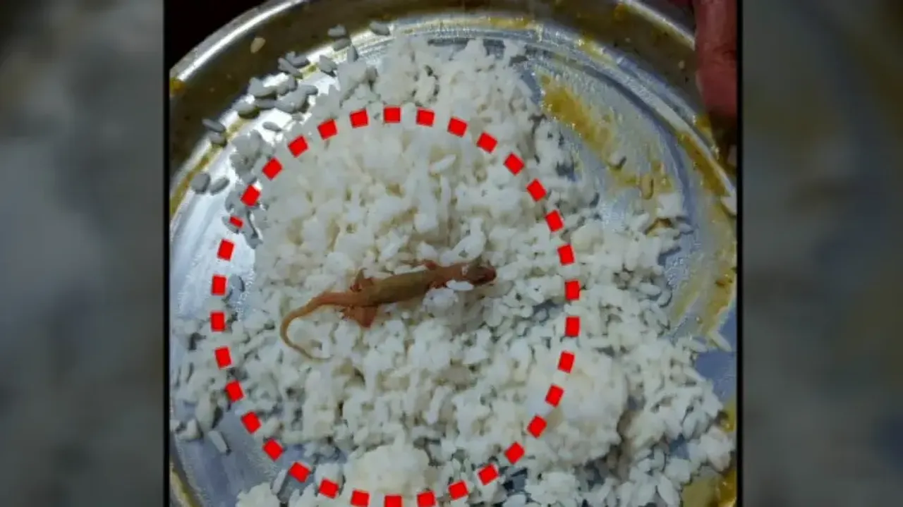 Lizard Found In School Mid-Day-Meal