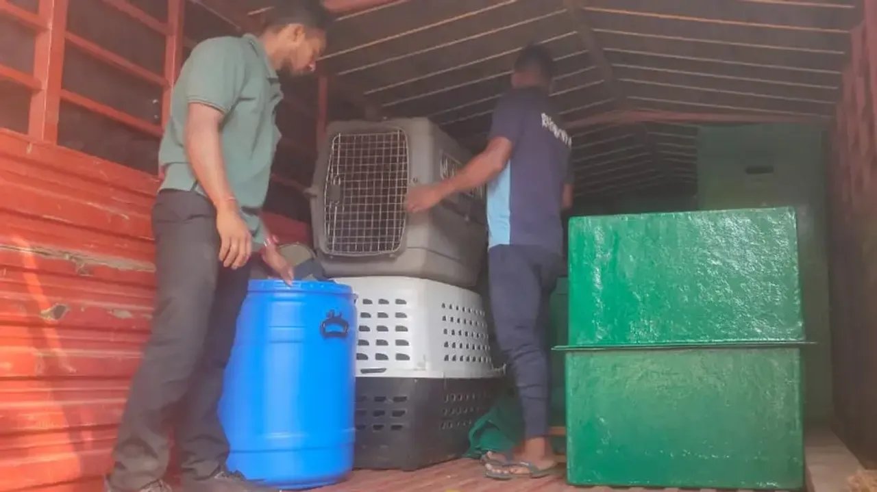 Nandankanan to get new animals from Assam