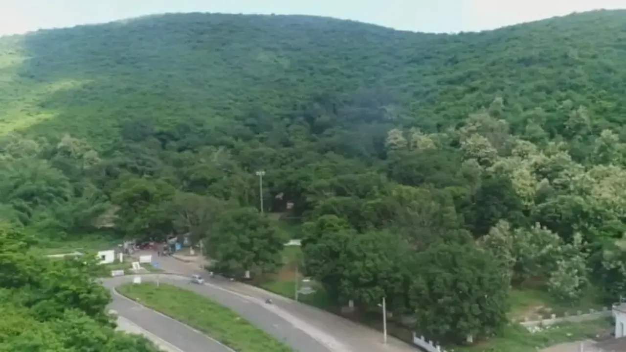 Odisha's historic Barunei Hill denuded of greenery!