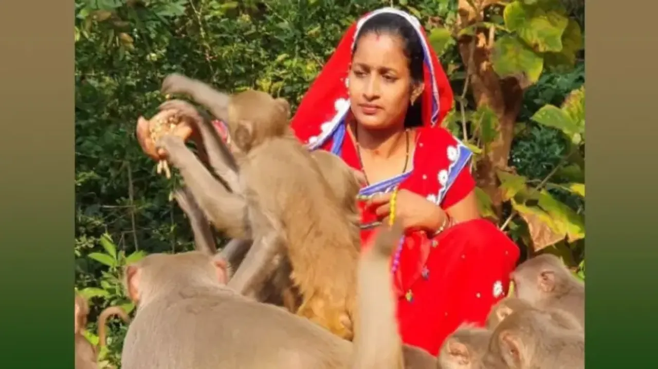 Odisha’s YouTuber couple absconding since raid on house surrenders  