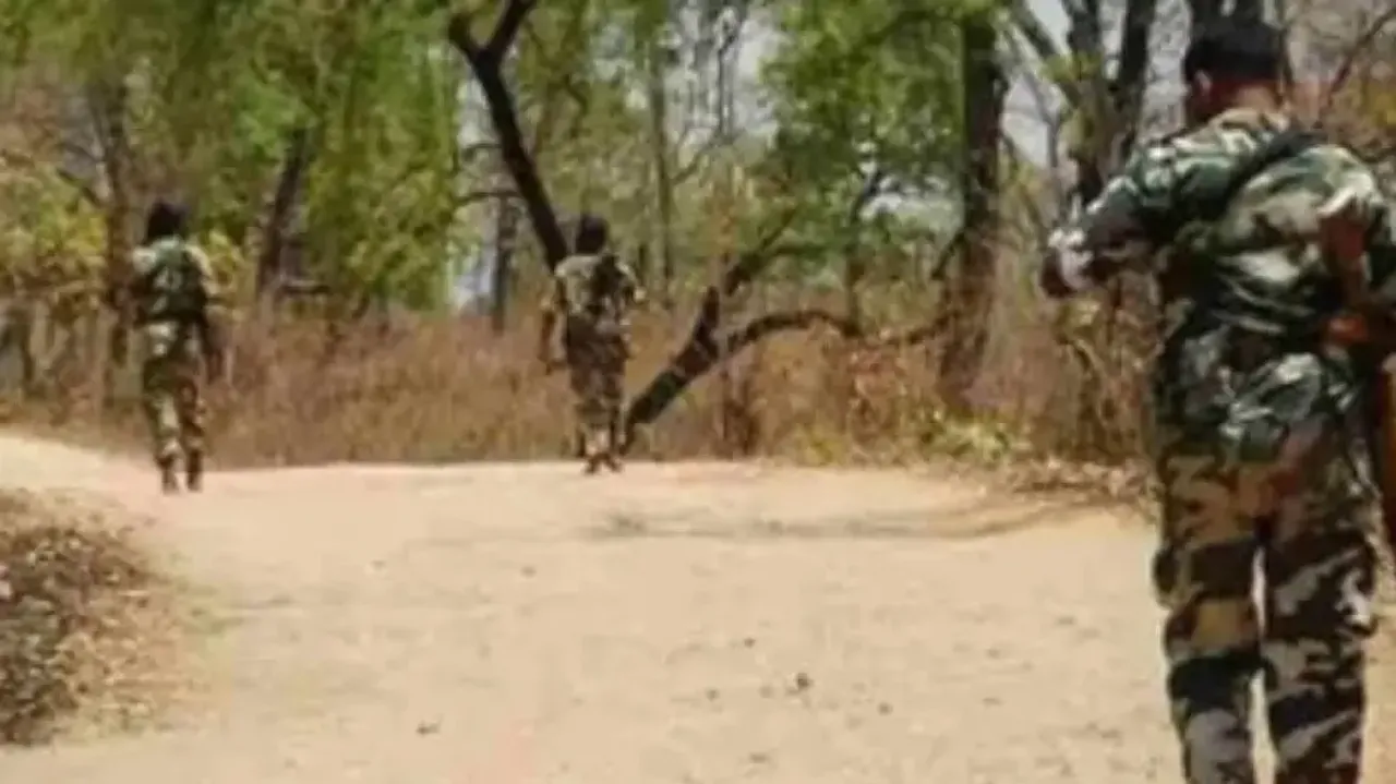 8 Naxalites killed in encounter with security personnel in Chhattisgarh's Bijap